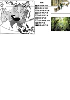 七年级地理下学期高频考题期末卷（一）（全国通用）（原卷版）.pdf 封面