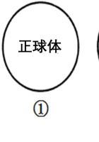 七年级地理上册  第一章  地球和地图（真题重组卷）（中图版）（解析版）.pdf 封面