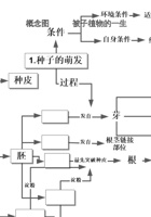 10-概念图-被子植物的一生.doc 封面