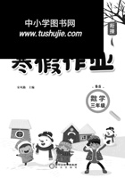 《寒假作业》数学3年级上册（北师）.pdf 封面