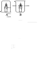 【人教版】实验活动3  燃烧的条件、灭火的原理-九年级化学上册同步分层作业（人教版）.pdf 封面