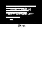 五（下）青岛版数学一单元课时.5（54制）..pdf 封面