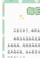 每日晨读散文1..pdf 封面