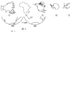 七年级地理上册   第三章  陆地与海洋（基础过关卷）（商务星球版）（原卷版）.pdf 封面