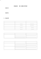 【人教版】实验活动6  酸、碱的化学性质-九年级化学下册同步分层作业（人教版）.pdf 封面