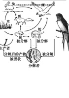 人教版生物七年级上册高频考点识图题填空.pdf 封面