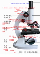 济南版生物七年级上册知识点总结完整版.pdf 封面