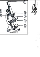 苏科版生物七年级上册知识点复习（填空版）.pdf 封面