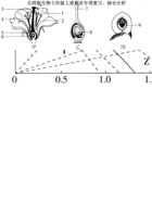 北师版生物七年级上册期末专项复习：综合分析.pdf 封面