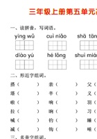 三（上）语文第五单元基础知识测试卷 11.11 封面